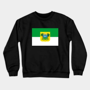 Flag of Rio Grande do Norte Crewneck Sweatshirt